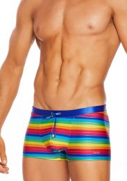 Tribe Rio Swim Trunk Foil Rainbow Stripe