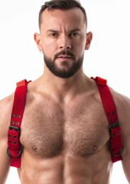 Leader Combat Harness Red