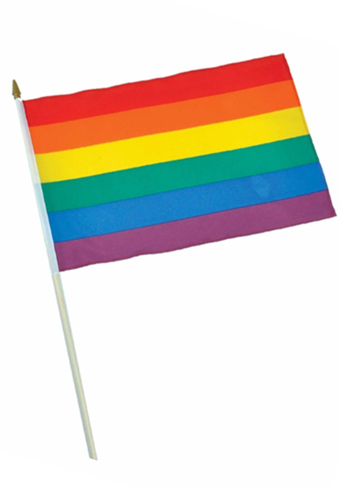Rainbow Stick Flag 30x45cm