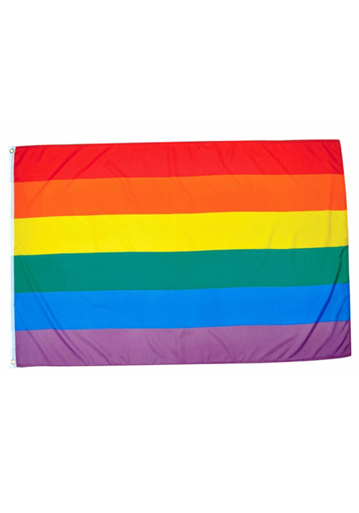 Pride Rainbow Flag 50x80cm