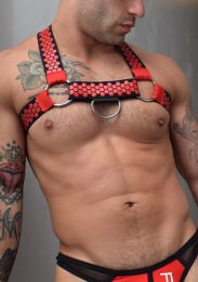 Breedwell Hex Harness Red