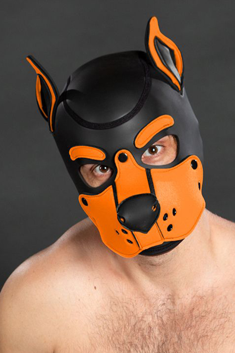 Mr S Leather K9 Puppy Hood Orange
