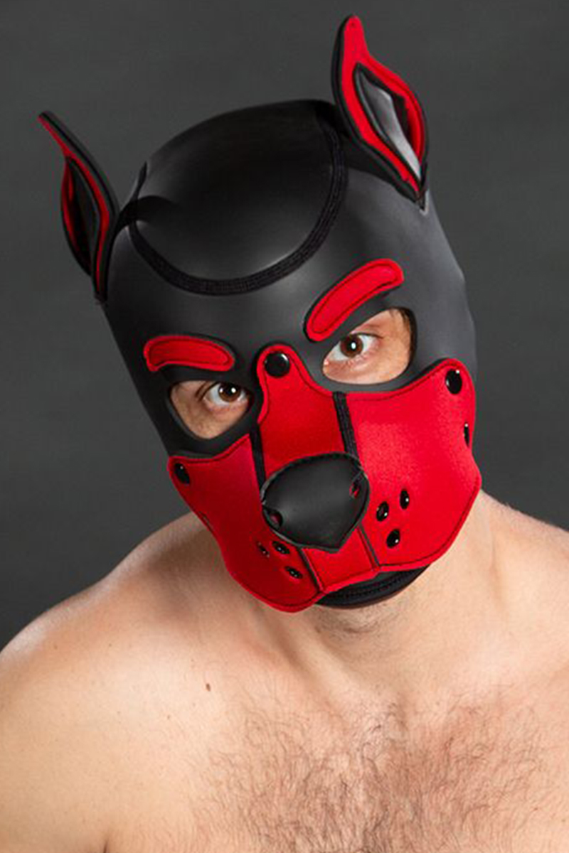 Mr S Leather Neoprene K9 Puppy Hood Black Red