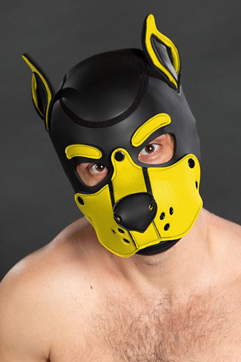 Mr S Leather Neoprene K9 Puppy Hood Black Yellow