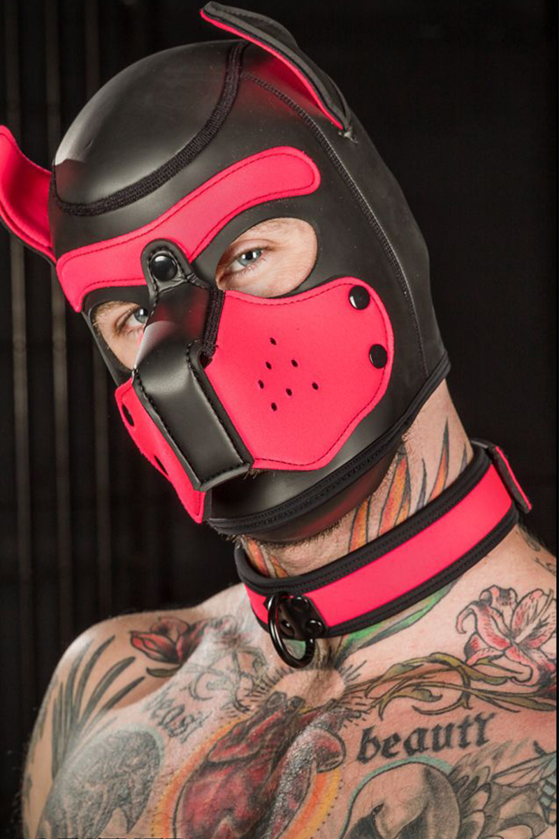 Mr S Leather Neoprene Puppy Collar Pink Black